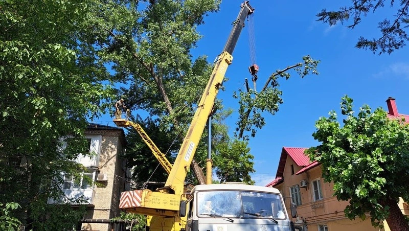 Опасные деревья спиливают по просьбам жителей в Минводах