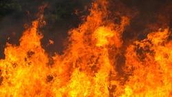 Двое дошкольников погибли в пожаре в селе Нагутском 