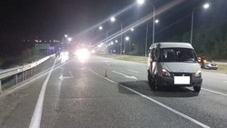 Девушка получила перелом плеча в аварии вблизи Минераловодского округа
