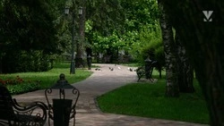 Около 7 тыс. минераловодцев проголосовали за объекты благоустройства