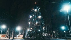 Новогодние утренники проведут 24 декабря в Минераловодском округе