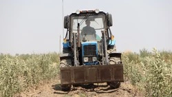 Пьяный механизатор похитил трактор в Минводах, чтобы навестить родню