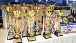 Минераловодцы завоевали 17 медалей на соревнованиях по панкратиону в Адыгее