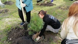 Аллею Памяти высадили в Минводах у мемориала «Вечной Славы»