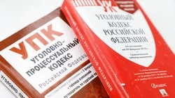 Аферисты, обманувшие пенсионерку из Минвод, предстанут перед судом
