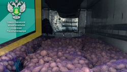В Минеральных Водах проверили 10 тыс. тонн овощей из Грузии