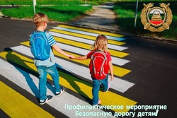 Профилактическое мероприятие «Безопасную дорогу детям!» стартует в Минводах