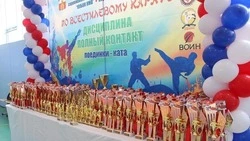 30 медалей завоевали каратисты Минвод на краевых соревнованиях