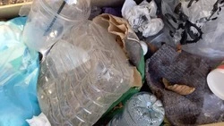Свалку в Минводах убрали после жалобы жителей, но она появилась вновь