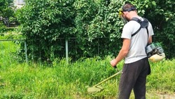 Коммунальщики продолжают покос травы в Минераловодском округе