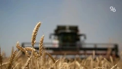 Аграриям Минераловодского округа компенсируют потери после града