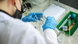Кисломолочным продуктам Ставрополья придадут антиоксидантные свойства