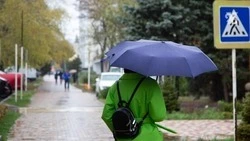 Глава Ставрополья: «Поддержал введение в Минераловодском округе режима ЧС»