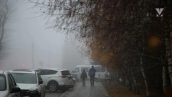 Туман затрудняет движение на Ставрополье 13 января