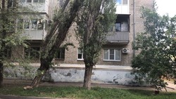 Аварийное дерево по улице Терешковой в Минводах уберут