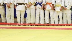 Победители Чемпионата России по дзюдо в Минводах получат по 350 тыс. рублей
