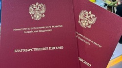 Ставропольский МФЦ отмечен благодарностью главы минэка РФ Максима Решетникова