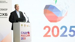 Глава Ставрополья: В питомниках края можно выращивать 5-6 млн саженцев ежегодно