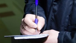 Ремонтника из Минераловодского округа обвиняют в мошенничестве