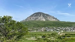 В Минеральных Водах у подножия Змейки высадили 150 молодых деревьев