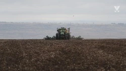 Почти 40% яровых культур посеяли на Ставрополье 