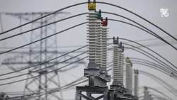 Свет временно отключат в посёлках Бородыновка и Змейка 31 марта 