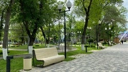 Более 20 тыс. человек проголосовали за новый объект благоустройства в Минераловодском округе