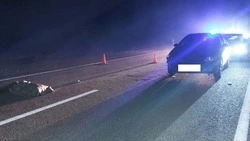 Женщину сбили насмерть в Минераловодском округе