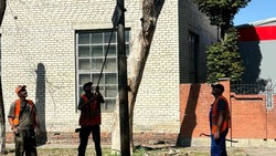 Более 200 незаконных объявлений убрали с улиц Минвод