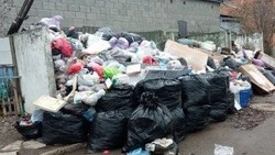 Жителей попросили не оставлять мусор на площадке по улице Почтовой в Минводах