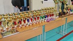 Спортсмены из Минвод поднялись на пьедестал почёта в краевых соревнованиях