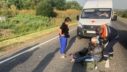 Мотоциклист столкнулся с кабаном на трассе под Минводами