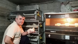 Житель села Гражданского разводит перепелов благодаря соцконтракту