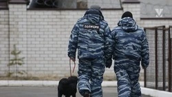 Сообщения о минировании поступило на почту школы в Минводах
