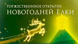 Торжественное открытие новогодней ёлки состоится в Минводах 6 декабря