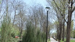 Более 7,2 тыс. светильников заменили в Минводах