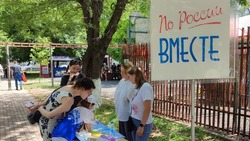 Выставки, игры и викторины провели в библиотеках Минвод на День России 