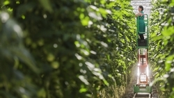 Садоводы Ставрополья получат более 528 млн рублей господдержки в 2026 году