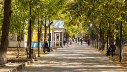 Жителей Минвод приглашают проголосовать за озеленение общественных территорий 