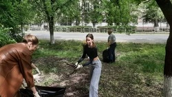 Всероссийский субботник провели в Минераловодском округе