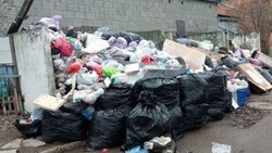 Жителей попросили не оставлять мусор на площадке по улице Почтовой в Минводах