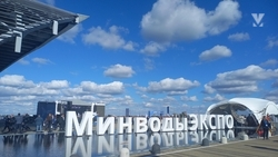 На Ставрополье снова проведут инвестиционный форум — губернатор Владимиров