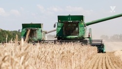 Аграриям Ставрополья выплатят более 4,6 млрд рублей господдержки в 2023 году 