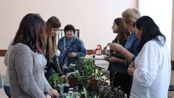 Мамы Минеральных Вод смогли обменяться комнатными растениями