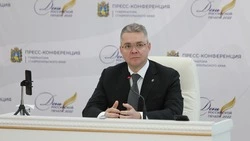 Глава Ставрополья поручил проработать вопрос о ремонте дороги в посёлке Змейка