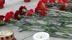 Уроженец Прикумского и военкор Семён Ерёмин погиб в зоне СВО